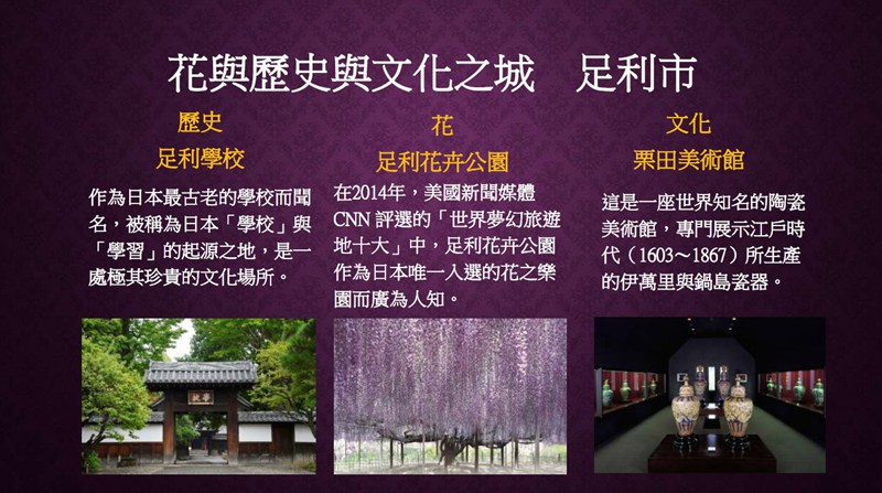 日本夜景觀光嘉年華 2025 in TAIWAN @Bernice的隨手筆記