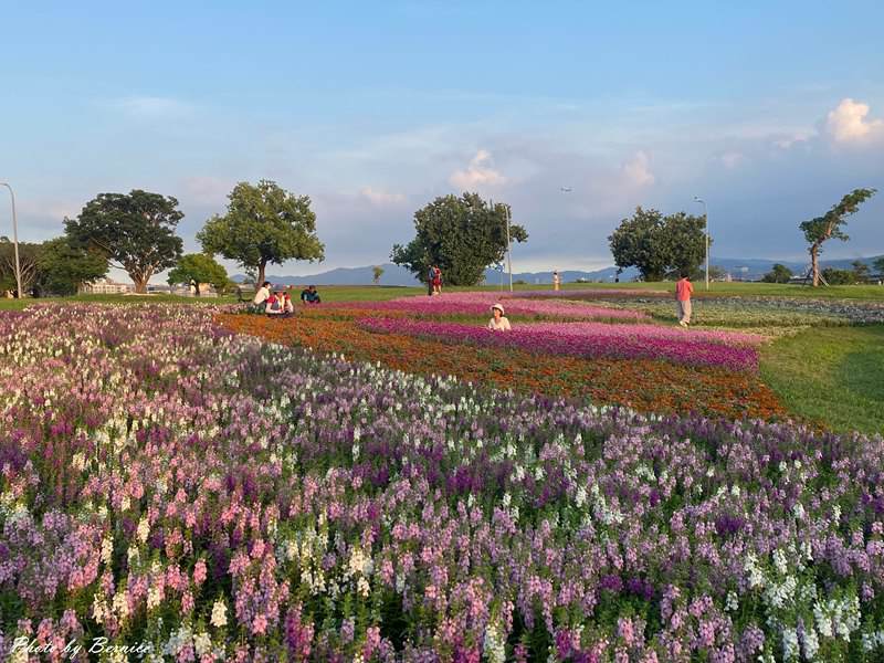 美堤河濱公園5萬盆繽紛花海現主時盛開中 賞味期限至10月底 @Bernice的隨手筆記