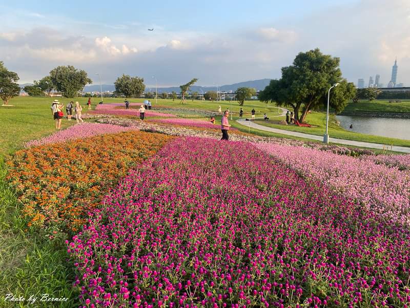 美堤河濱公園5萬盆繽紛花海現主時盛開中 賞味期限至10月底 @Bernice的隨手筆記