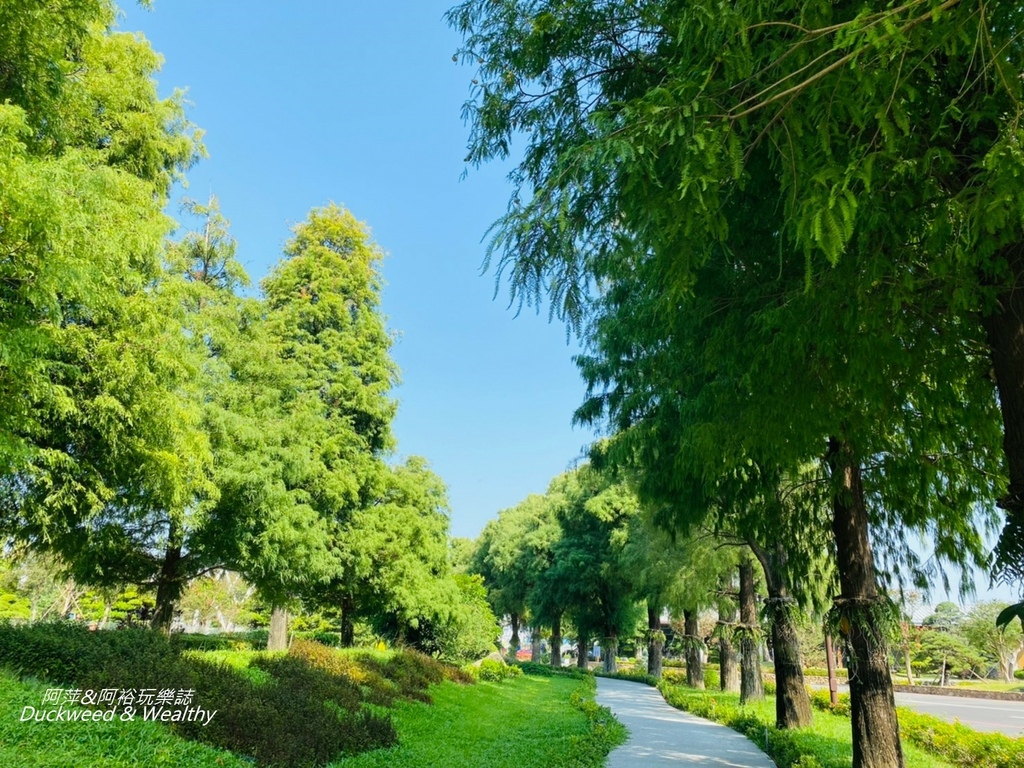彰化永靖成美文化園，台版兼六園、平地嘉明湖美譽，一日遊必遊