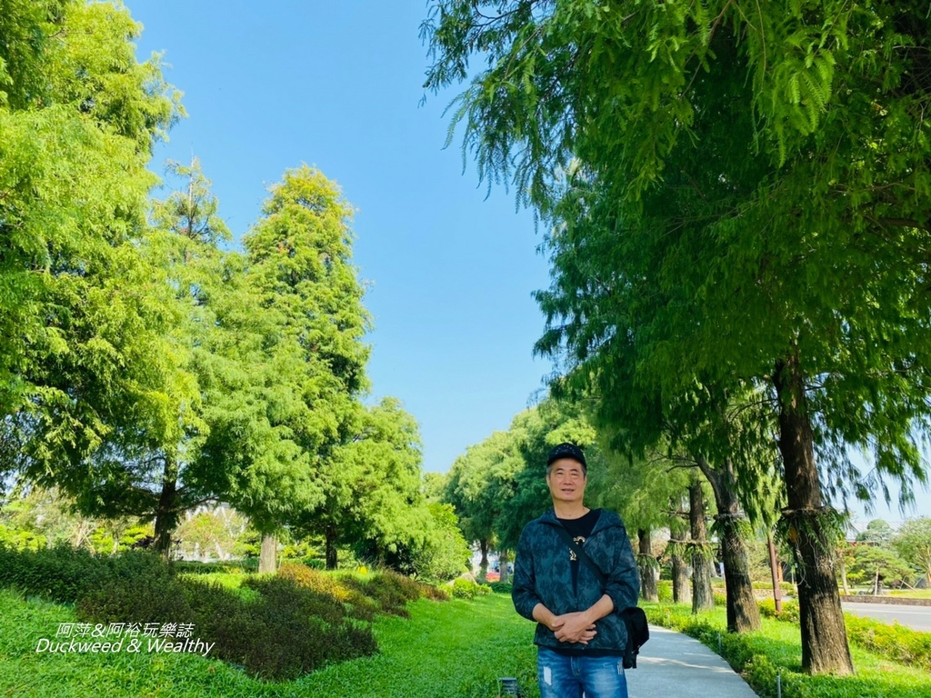 彰化永靖成美文化園，台版兼六園、平地嘉明湖美譽，一日遊必遊