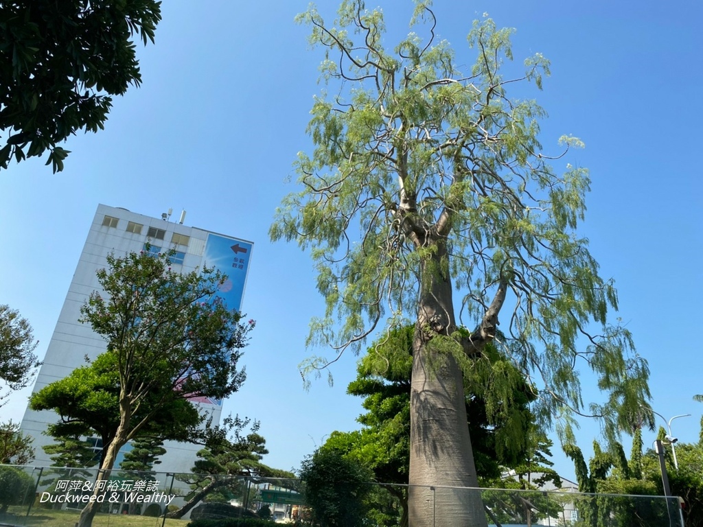 彰化永靖成美文化園，台版兼六園、平地嘉明湖美譽，一日遊必遊