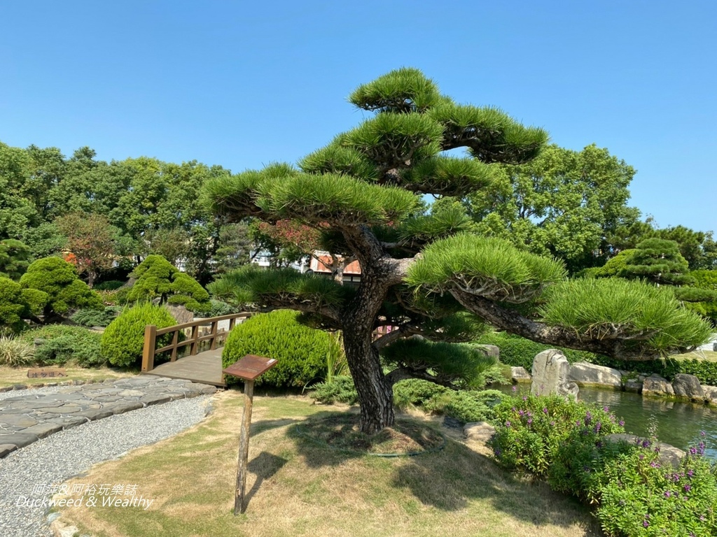 彰化永靖成美文化園，台版兼六園、平地嘉明湖美譽，一日遊必遊