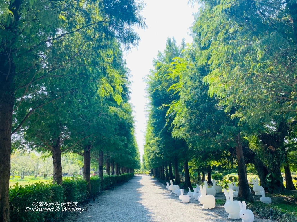 彰化永靖成美文化園，台版兼六園、平地嘉明湖美譽，一日遊必遊