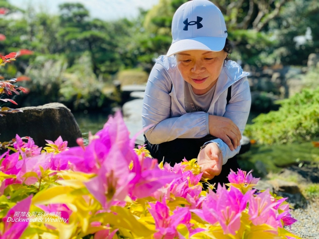 彰化永靖成美文化園，台版兼六園、平地嘉明湖美譽，一日遊必遊