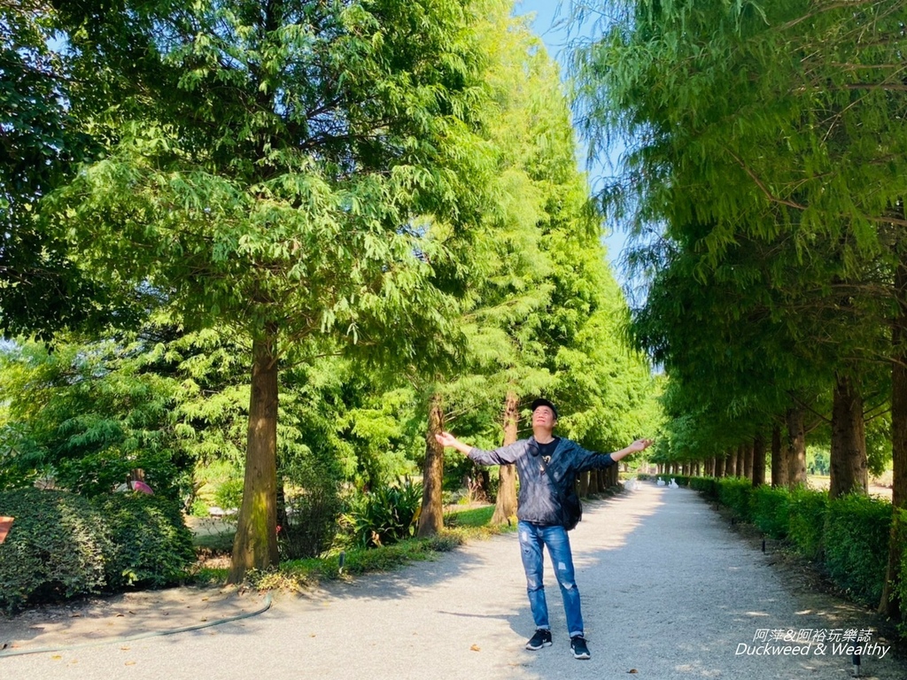 彰化永靖成美文化園，台版兼六園、平地嘉明湖美譽，一日遊必遊