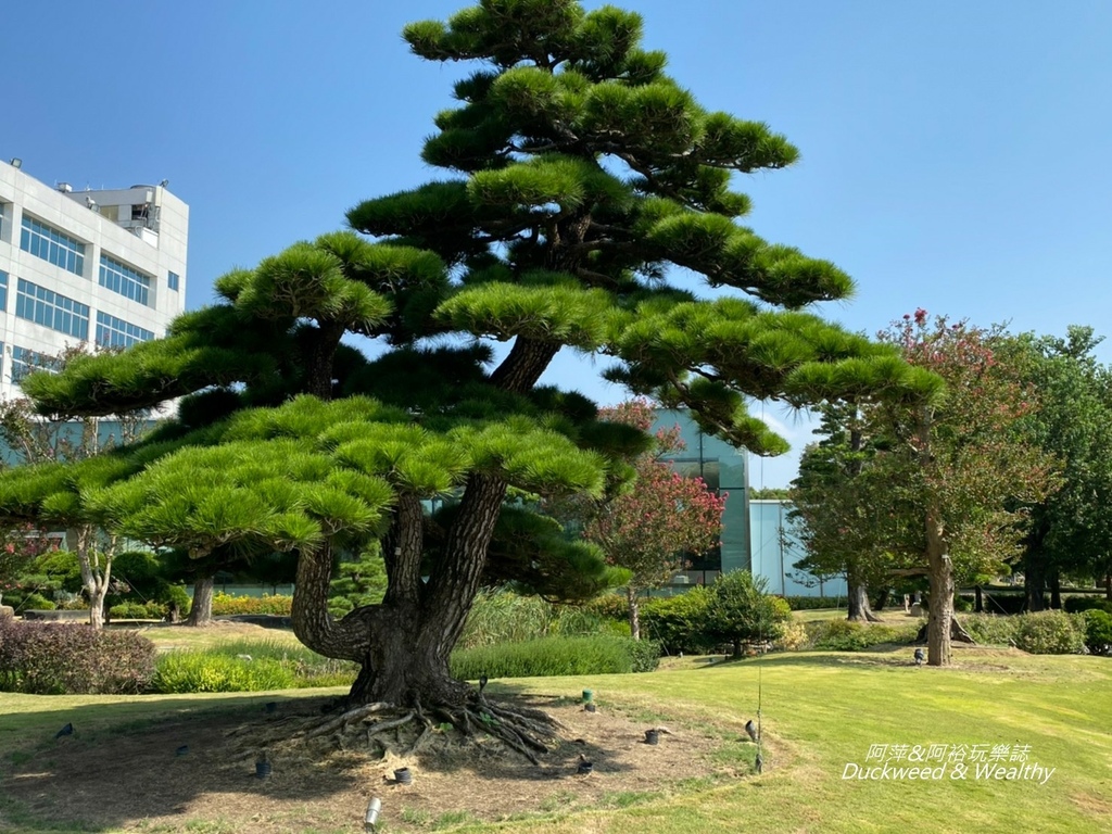 彰化永靖成美文化園，台版兼六園、平地嘉明湖美譽，一日遊必遊