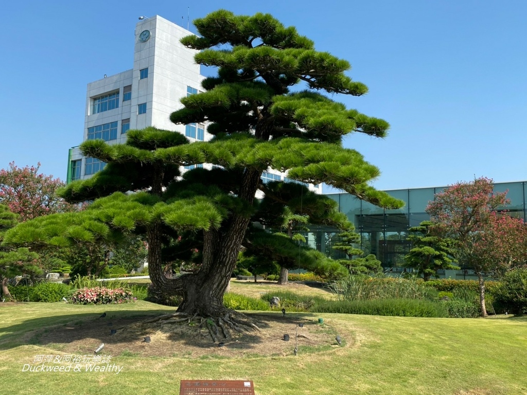 彰化永靖成美文化園，台版兼六園、平地嘉明湖美譽，一日遊必遊