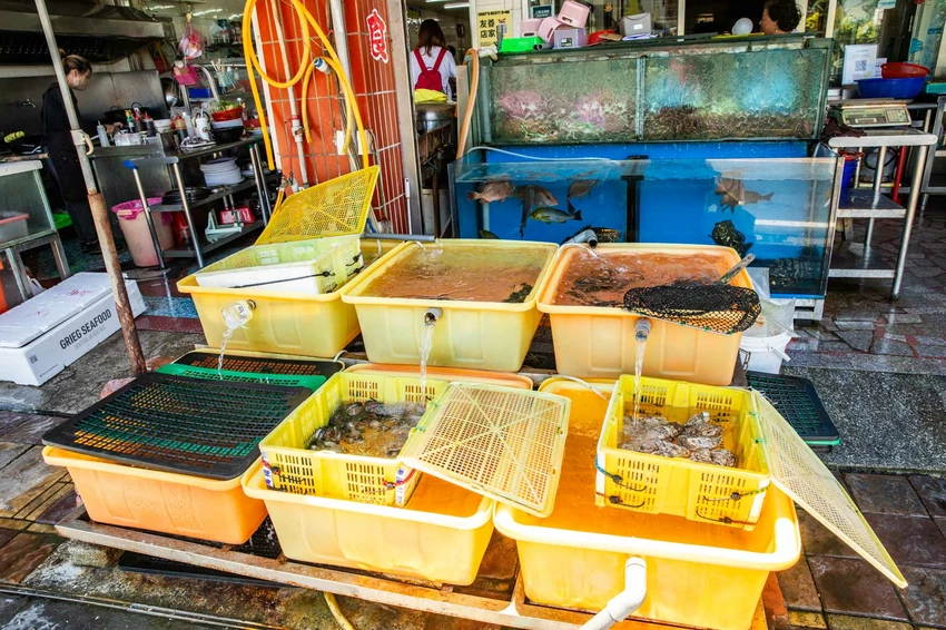 三葉活海鮮｜公開透明不偷斤減兩，料理全程通通看得到，在地經營傳承三代五十年活海鮮