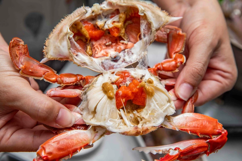 市場最低價萬里三點蟹一隻150元!花義思廚坊自家漁船直送,金山萬里必吃活海鮮。