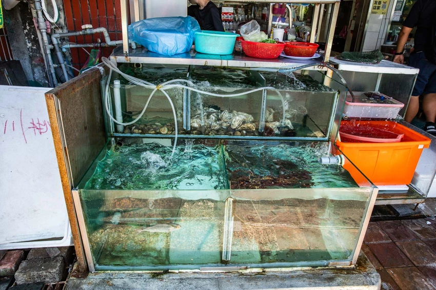 三葉活海鮮｜公開透明不偷斤減兩，料理全程通通看得到，在地經營傳承三代五十年活海鮮