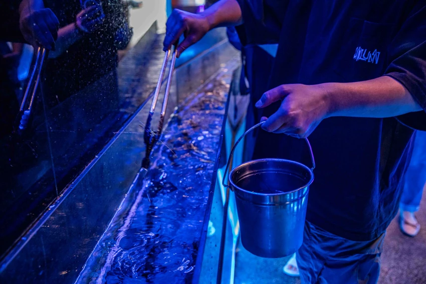 桃園燒肉吃到飽王者！大漠紅奢華升級，夢幻厚切牛舌無限續點。