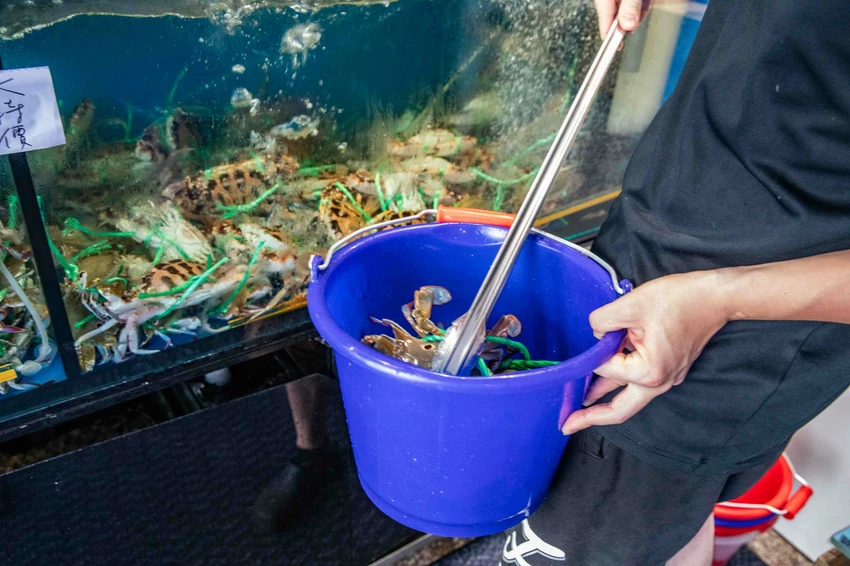 市場最低價萬里三點蟹一隻150元!花義思廚坊自家漁船直送,金山萬里必吃活海鮮。