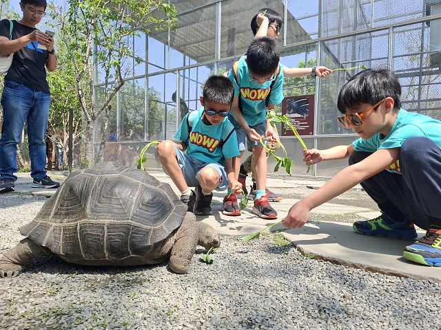 南投親子景點推薦!水與松萌萌園零距離與水豚互動,週末就來這放電。