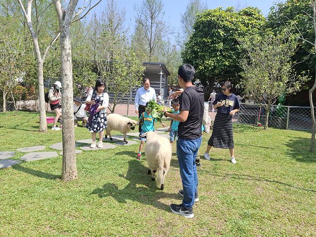 南投親子景點推薦!水與松萌萌園零距離與水豚互動,週末就來這放電。