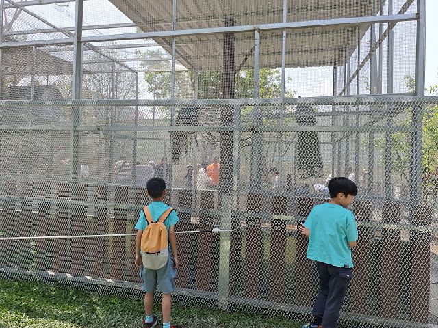 南投親子景點推薦!水與松萌萌園零距離與水豚互動,週末就來這放電。