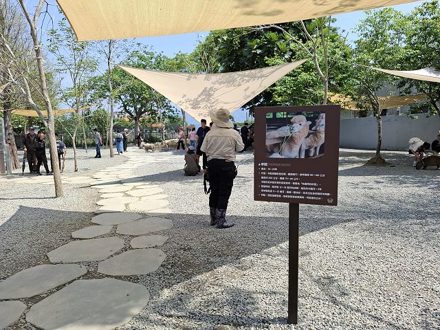 南投親子景點推薦!水與松萌萌園零距離與水豚互動,週末就來這放電。