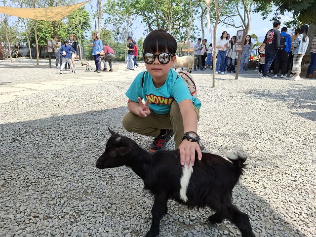 南投親子景點推薦!水與松萌萌園零距離與水豚互動,週末就來這放電。