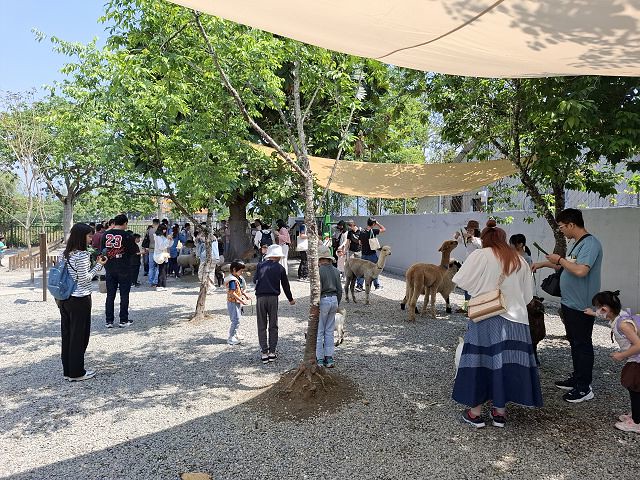 南投親子景點推薦!水與松萌萌園零距離與水豚互動,週末就來這放電。