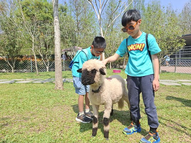 南投親子景點推薦!水與松萌萌園零距離與水豚互動,週末就來這放電。