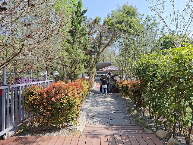 南投親子景點推薦!水與松萌萌園零距離與水豚互動,週末就來這放電。