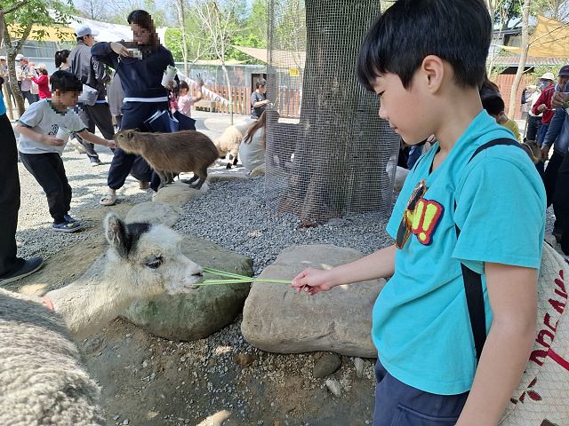 南投親子景點推薦!水與松萌萌園零距離與水豚互動,週末就來這放電。