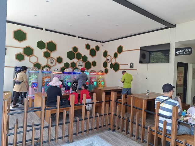 南投親子景點推薦!水與松萌萌園零距離與水豚互動,週末就來這放電。