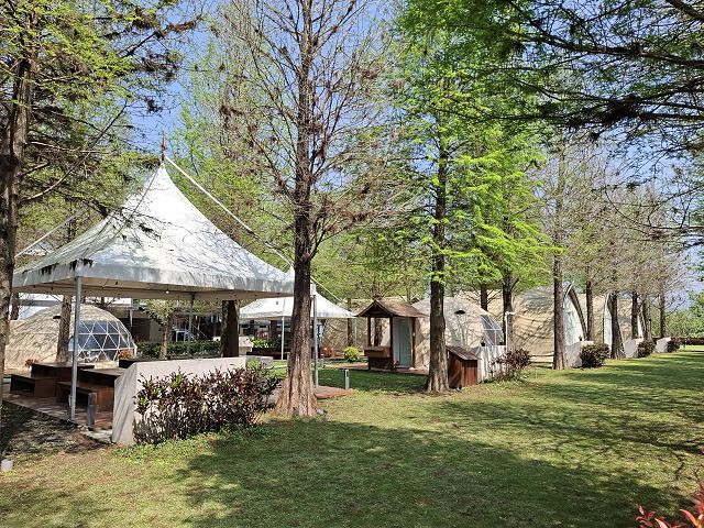 南投親子景點推薦!水與松萌萌園零距離與水豚互動,週末就來這放電。