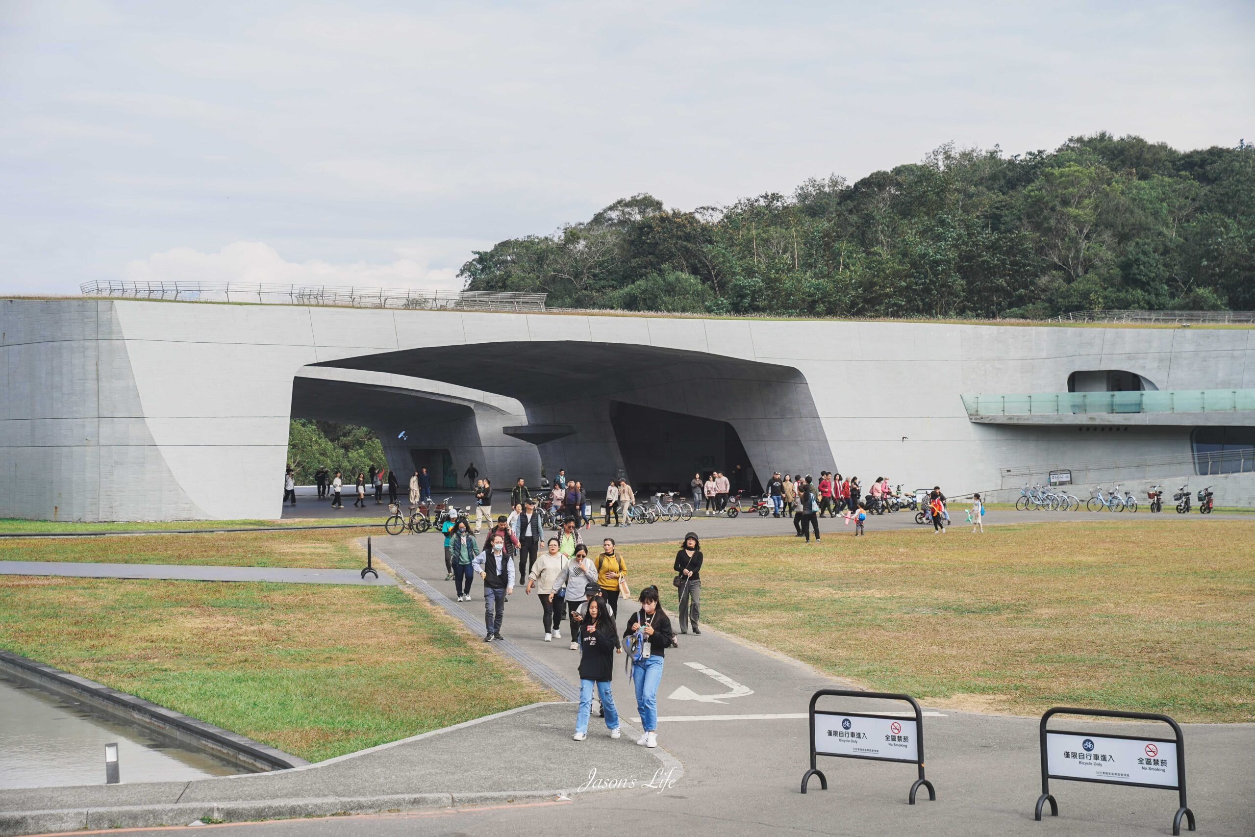 向山遊客中心落羽松紅了,日月潭湖光山色相伴,冬季限定景色超美