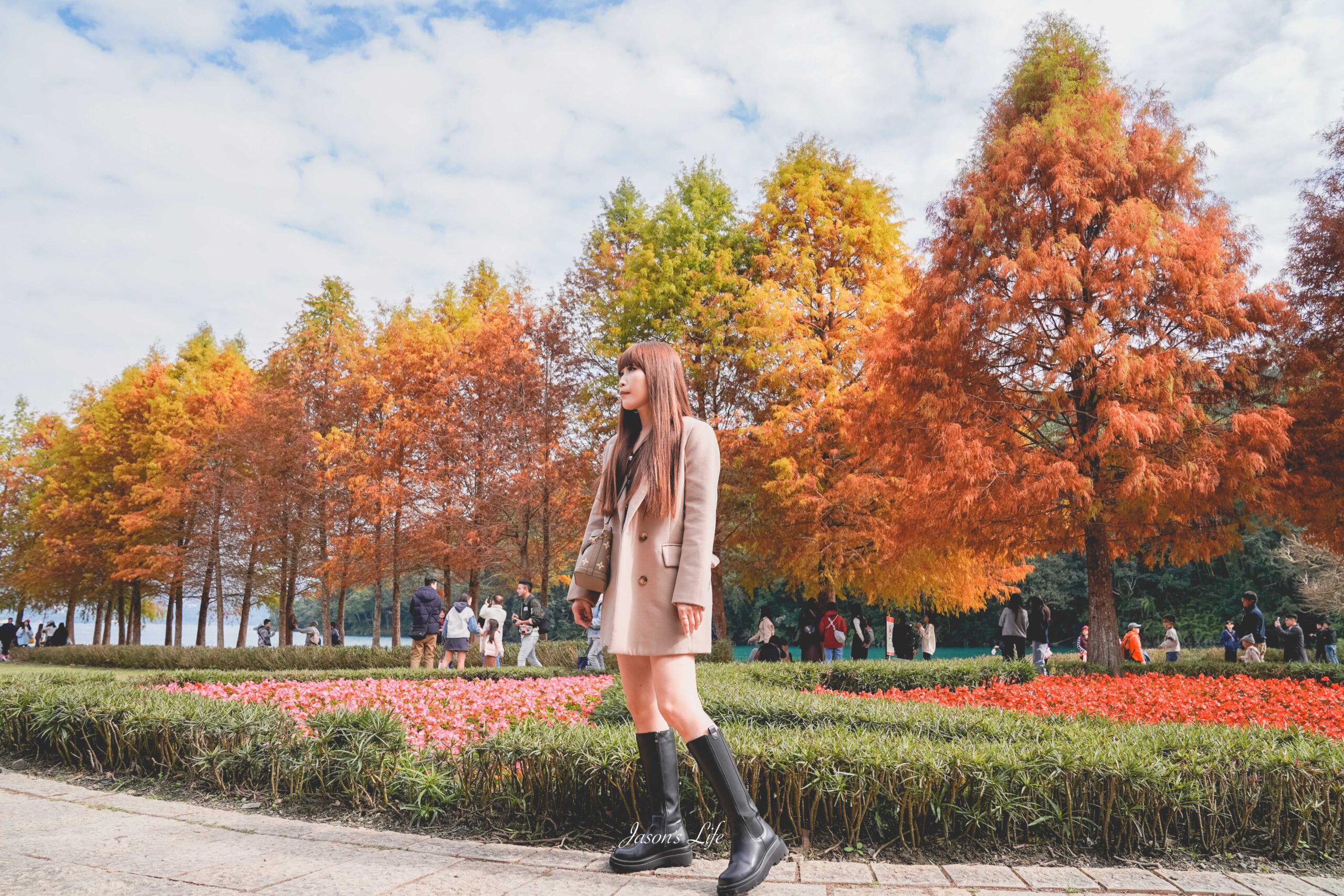 向山遊客中心落羽松紅了,日月潭湖光山色相伴,冬季限定景色超美