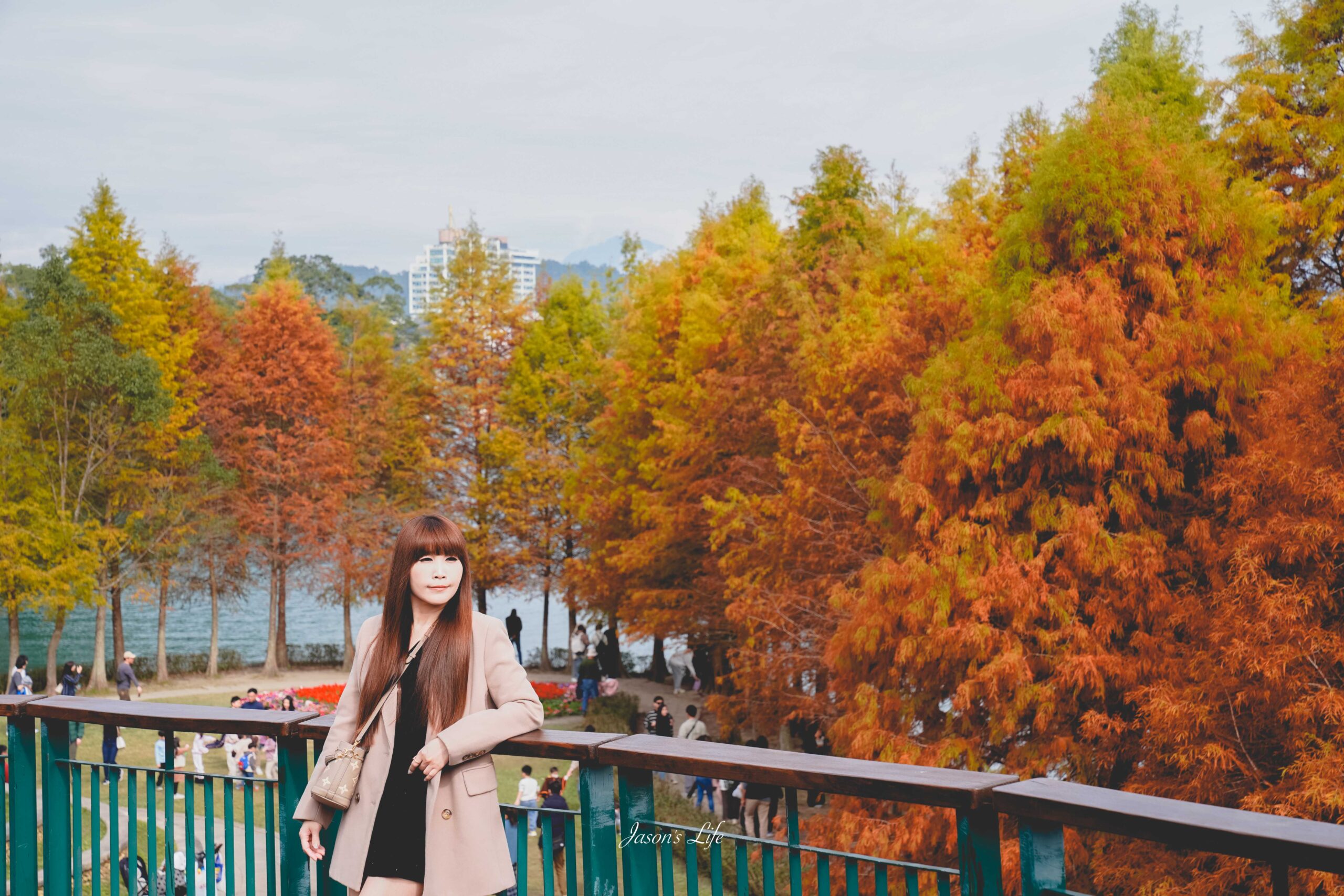 向山遊客中心落羽松紅了,日月潭湖光山色相伴,冬季限定景色超美