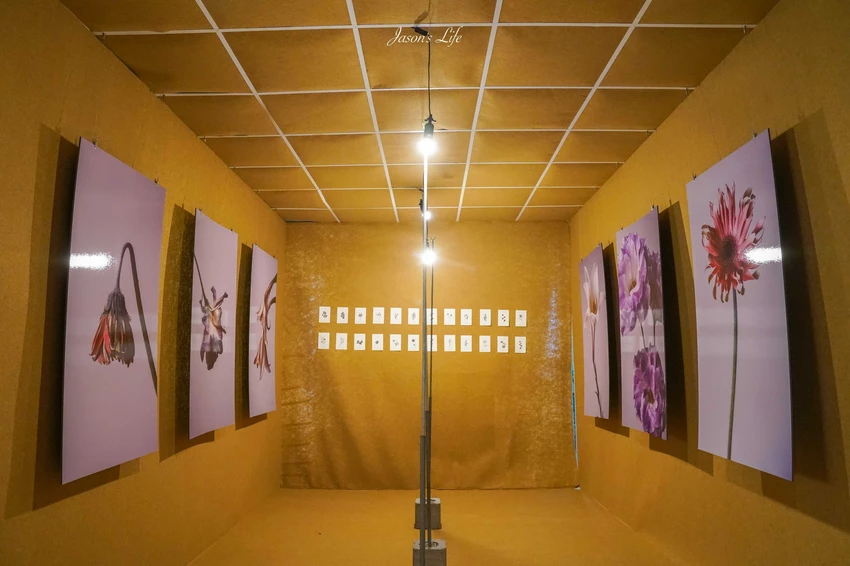 2025台灣設計展!彰南田尾展區亮點、交通接駁、必拍打卡景點攻略全搞定。