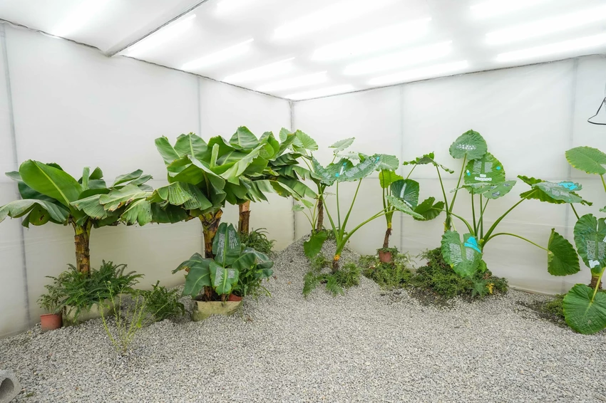 2025台灣設計展!彰南田尾展區亮點、交通接駁、必拍打卡景點攻略全搞定。