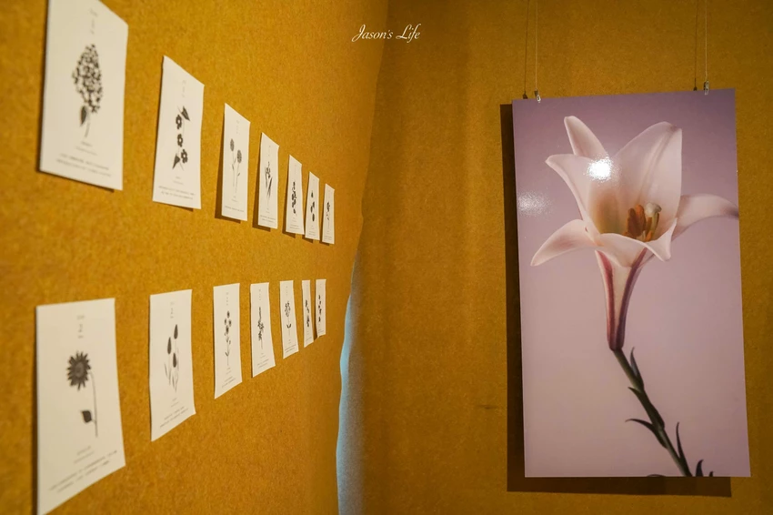 2025台灣設計展!彰南田尾展區亮點、交通接駁、必拍打卡景點攻略全搞定。