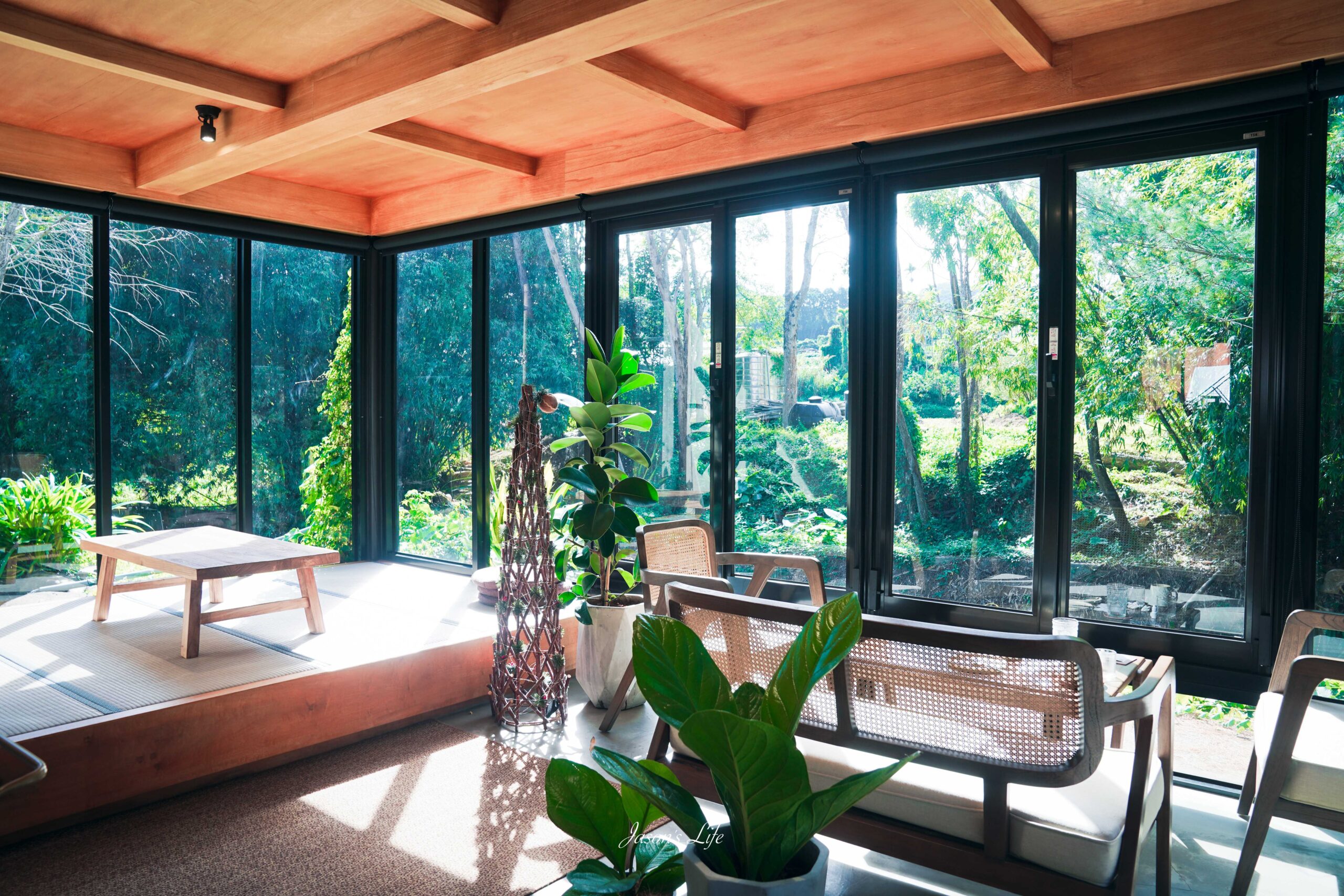 向山遊客中心落羽松紅了,日月潭湖光山色相伴,冬季限定景色超美