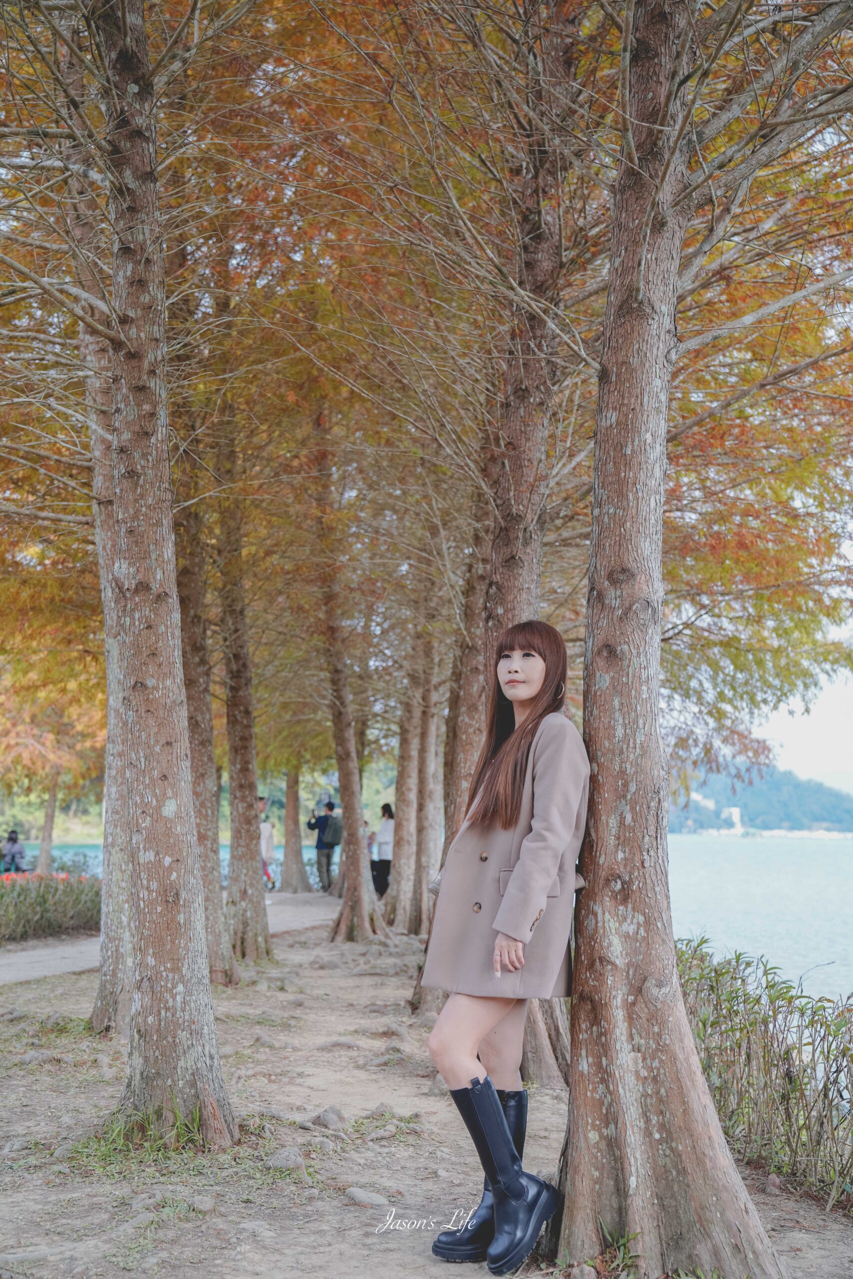 向山遊客中心落羽松紅了,日月潭湖光山色相伴,冬季限定景色超美