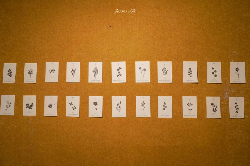 2025台灣設計展!彰南田尾展區亮點、交通接駁、必拍打卡景點攻略全搞定。