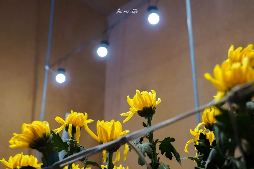 2025台灣設計展!彰南田尾展區亮點、交通接駁、必拍打卡景點攻略全搞定。