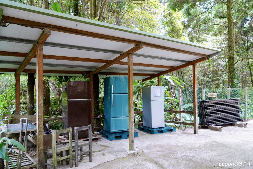 新竹五峰松木青露營區｜森林系家庭露營，萬聖節派對晚餐、親子D