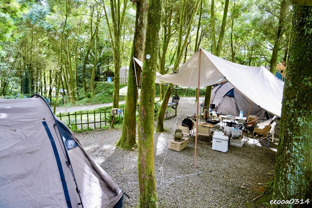 新竹五峰松木青露營區｜森林系家庭露營，萬聖節派對晚餐、親子D