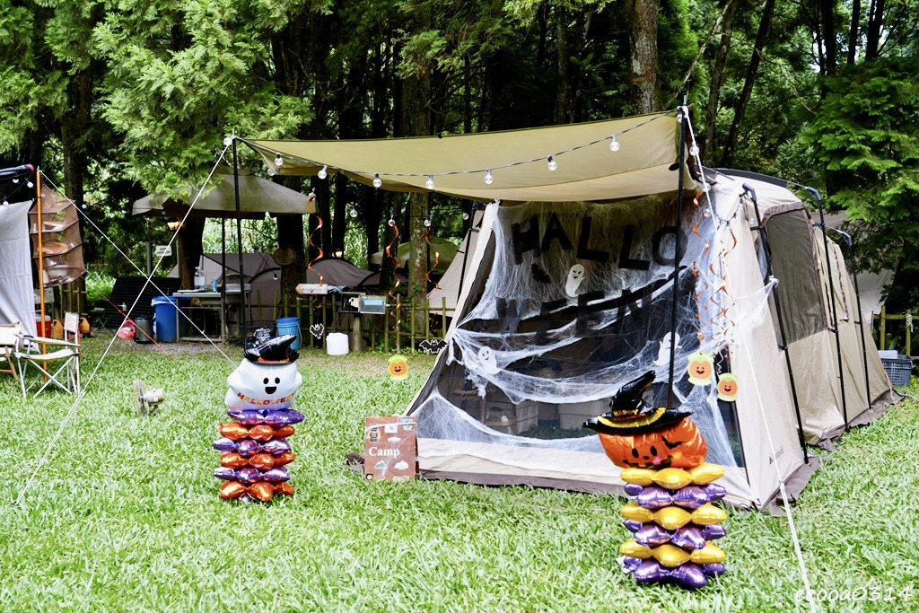 新竹五峰松木青露營區｜森林系家庭露營，萬聖節派對晚餐、親子D