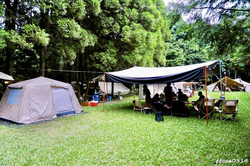 新竹五峰松木青露營區｜森林系家庭露營，萬聖節派對晚餐、親子D