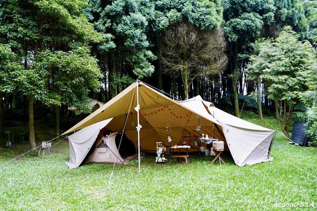 新竹五峰松木青露營區｜森林系家庭露營，萬聖節派對晚餐、親子D