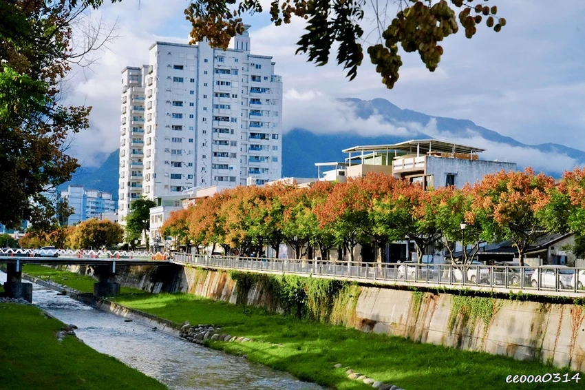 吉安溪台灣欒樹美境｜花蓮季節限定粉橙秋色綻放，美景如畫!