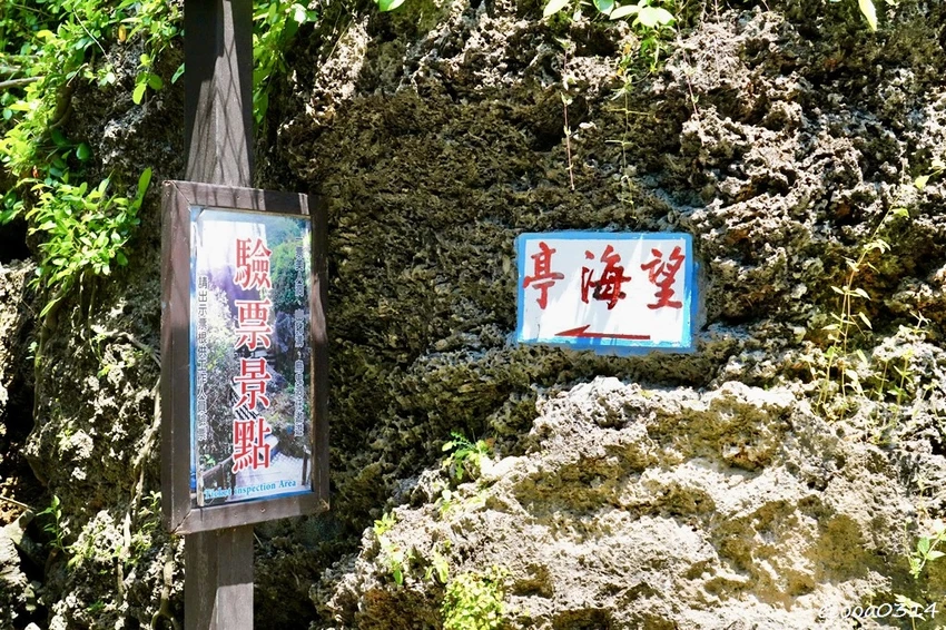 小琉球親子旅遊景點｜望海亭看海龜、美人沙灘浮潛玩水悠閒半日遊