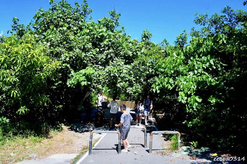 小琉球龍蝦洞攻略｜海蝕溝秘境、IG熱門打卡點與看海龜景點推薦