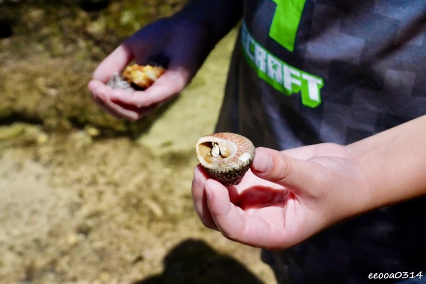 小琉球杉福秘境海灘｜隱藏在礁岩後的戲水勝地，親子玩水、觀察生