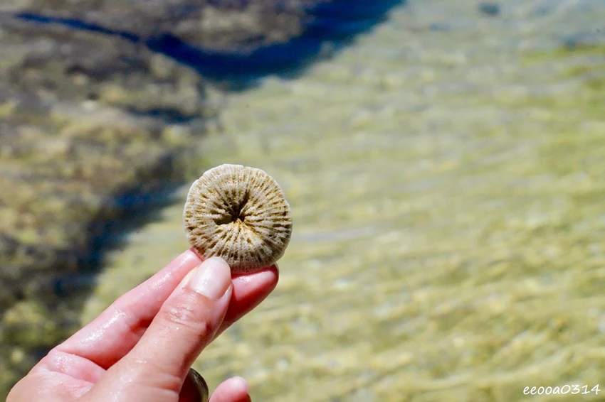 小琉球杉福秘境海灘｜隱藏在礁岩後的戲水勝地，親子玩水、觀察生
