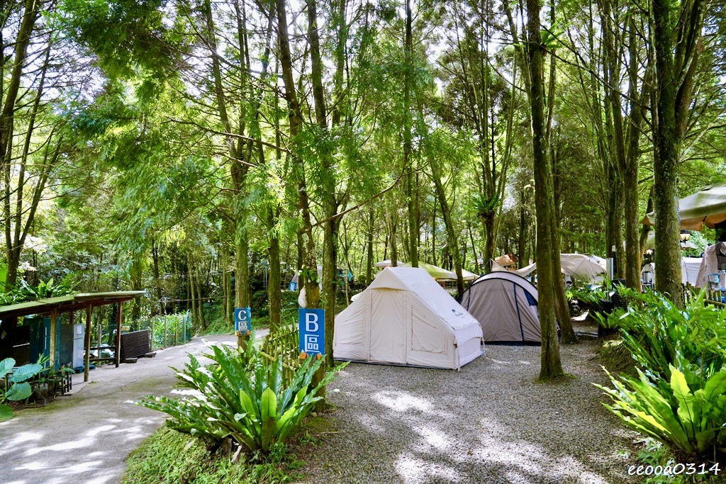 新竹五峰松木青露營區｜森林系家庭露營，萬聖節派對晚餐、親子D