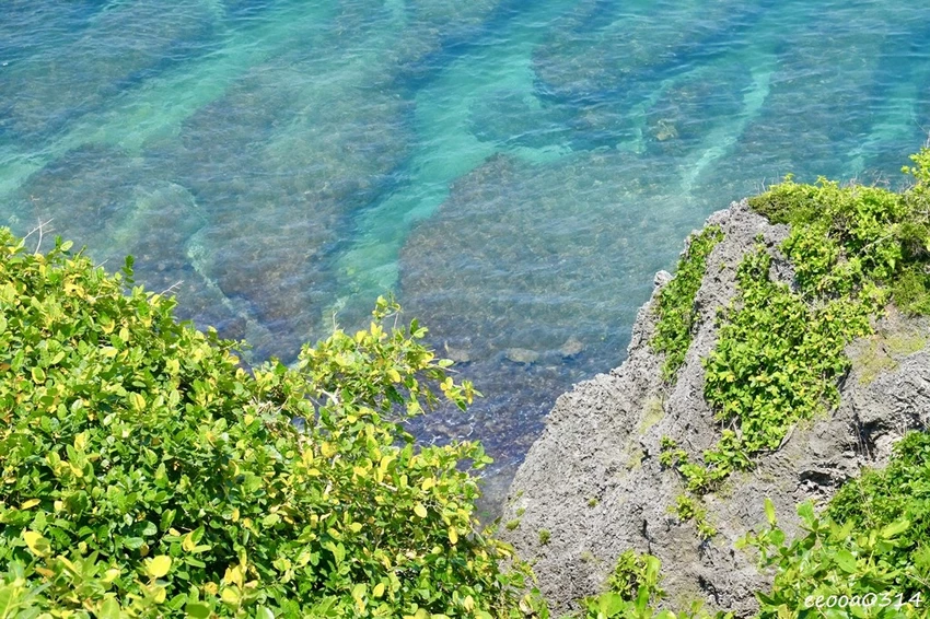 小琉球親子旅遊景點｜望海亭看海龜、美人沙灘浮潛玩水悠閒半日遊